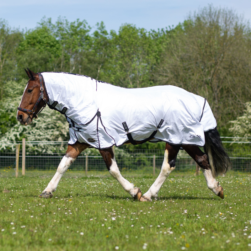 Gallop Classic Combo Fly Rug in White-1